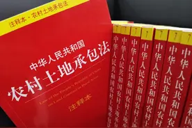 2022年农村土地承包每亩补贴多少钱？有什么新变化？一文为你解读图片