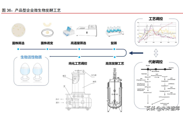 合成生物行业深度报告：合成生物学蓬勃发展，市场空间广阔