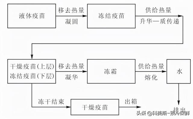 真空冷冻干燥技术讲解