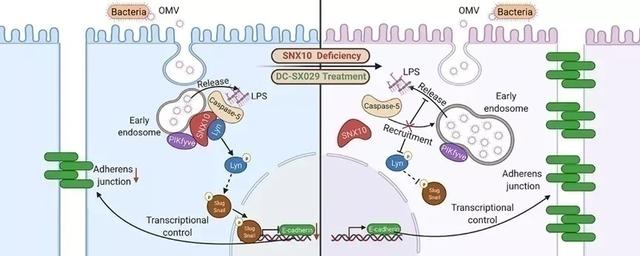 复旦上医11月科研成果一览