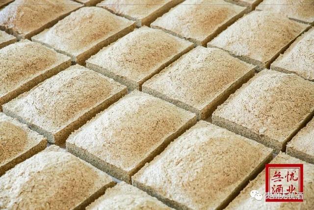 ���Ǿ�ҵ����ϵͳ��ȫԱӪ����ѵ����������Ӫ����չ�¾��桪��2022��ȵ����ڸ�����Ӫ����ѵԲ������