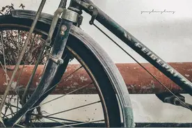 逐渐淡出大众视线的品牌，谁还记得曾经风靡一时的飞鸽牌自行车？图片