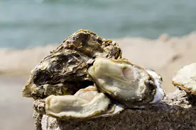 同样是蚝油，“李锦记”和“海天”区别挺大，学会再买不吃亏图片