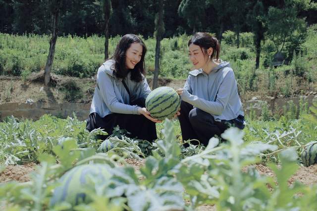 四川省民生研究会新媒体中心-官网