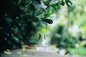 宋词里的春天，十种绝美，十种心动！图片
