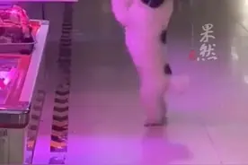 狗狗在肉摊前作揖要肉吃，老板真切了一块扔给它图片