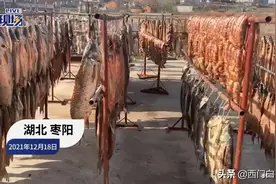 农村大户准备年货：500只鸡、500条鱼、5头猪，这大户得有多大？图片