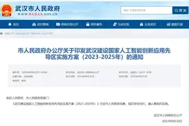 方案出台！到2025年 武汉人工智能产业规模达千亿元图片