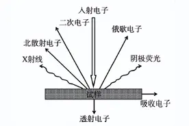 扫描电镜（SEM）的基本原理、构造、优势以及在实际中的应用图片
