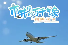 【市井里的万千气象㉙】用手能“杵”到飞机 这个社区有“花田喜事”图片