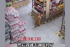 超市里的卤蛋总是“凭空消失”，女子查看监控后，却被可爱到了图片