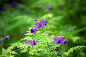 70岁老人坦言：老了不怕子女不孝顺，就怕子女有这些事图片