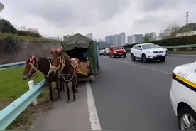 贵遵路上“真宝马”上路 看交警“蜀黍”如何处理！图片