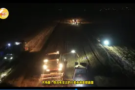 大场面！你没有见过的小麦夜收震撼场面图片