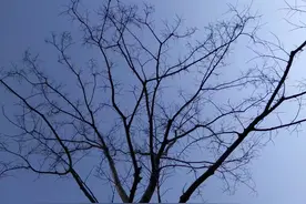 故事：猎人路过破庙，听到女人的惨叫声，发现一个老头打一个女子图片