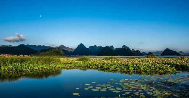 拍点发现 | 今年夏天,去这些地方拍荷花