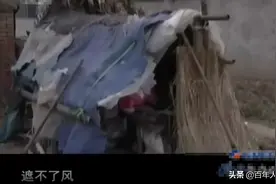 2011年，江苏13岁男孩父亡母弃，亲姑为夺其低保让男孩住“狗窝”图片