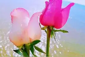 真正入了心的人，就算余生不再相见，也是一生的惦念图片