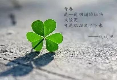情感小故事（1）