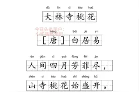 三年级下册古诗《大林寺桃花》文本图片