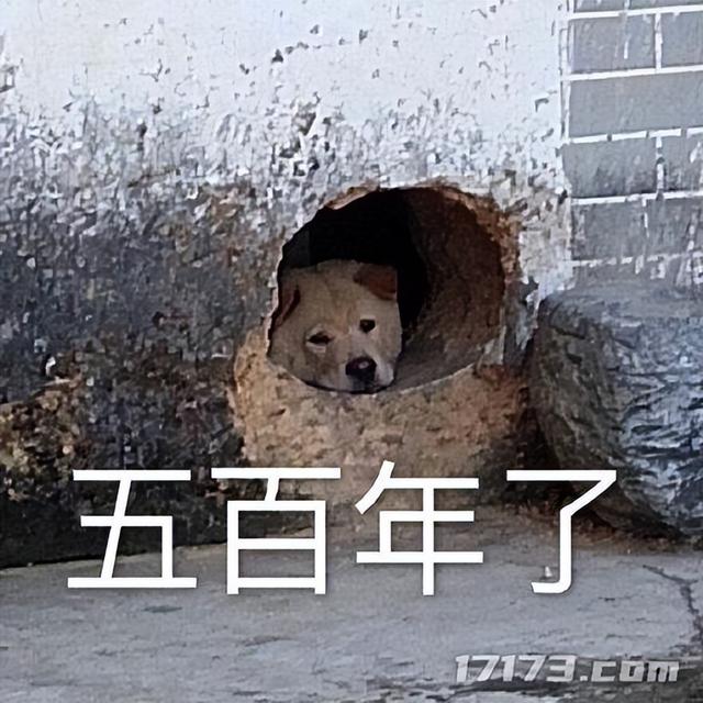 腾讯射击霸权还没结束？手握至少11款新作，竟还全是“硬骨头”