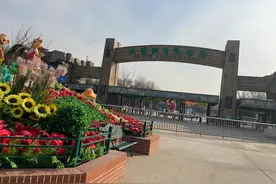 昨天刚去了北京野生动物园图片