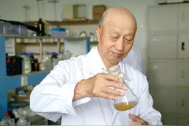 50年，中国"番茄大王"用品种走向全国，推广面积1200多万亩图片