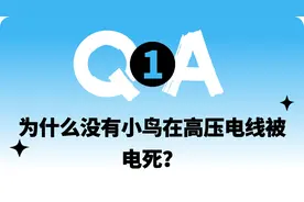 为什么瞄准镜比枪管高很多，却能瞄哪打哪？｜趣问万物图片