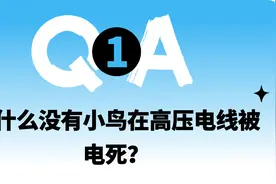 为什么瞄准镜比枪管高很多，却能瞄哪打哪？｜趣问万物图片