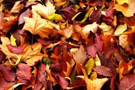 关于教育的名言名句70条经典语录大全图片