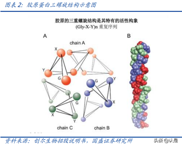 鍖荤編琛屼笟鑳跺師铔嬬櫧娣卞害鎶ュ憡锛氭柊鏉愭枡锛屾柊钃濇捣