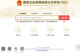 企业工商年报操作指引图片