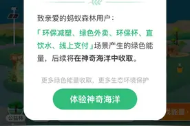 支付宝蚂蚁森林全新升级，线上支付等绿色能量将在神奇海洋中收取图片