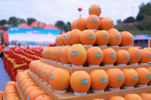 ��ȣ�ѧ����ɫũ��ƷƷ�Ƽ���Ӫ����������ƪ���¾͹���