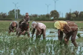 父亲节:史上最感人的八首父爱诗词，没有一个爱字，却句句是爱!图片
