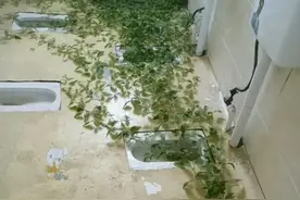 小伙和41岁漂亮阿姨千里约会，见到本人后，网友：这波不亏图片