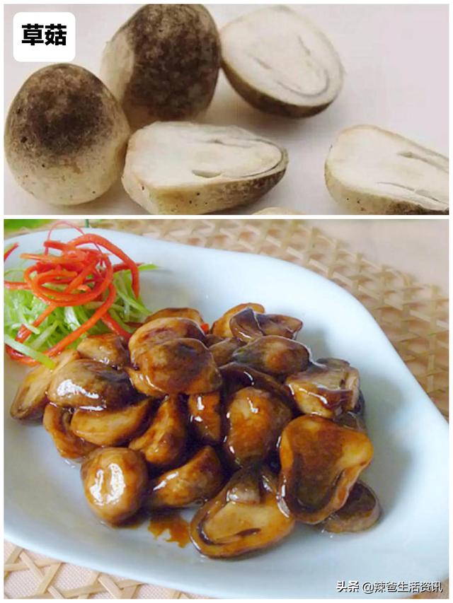 12种“常见的蘑菇”，你都吃过吗？附：经典做法，请收藏