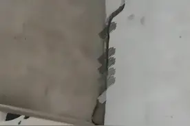 西安男子午睡被窝窜出2米长蛇，大蛇上墙如履平地，高层也难防？图片