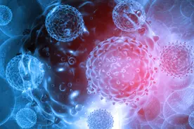 查出HPV52和HPV81阳性会长出尖锐湿疣吗？图片