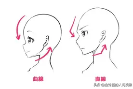 我们是从哪些面部特征来判断性别的？图片