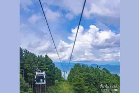 探秘大理杜鹃花海，与花海同行，遇见最美的大理。图片