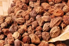 温肾阳暖脾阳，益智仁，针对脾肾阳虚，尿频，流口水，腹泻。图片