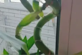生命中有你图片