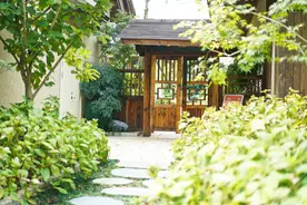 这里不是“日本小京都”，是湖北黄冈的东山问梅村，适合亲子度假图片