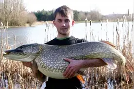 年产30亿斤鱼！俄罗斯水深700米的贝加尔湖，里面的鱼究竟有多大图片