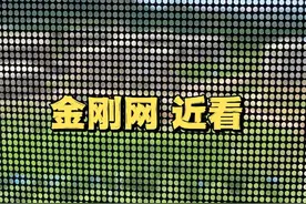 换了2次纱窗，我终于明白了200元金刚网和100元高透网的区别图片