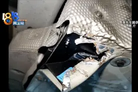 盖板弹中“关键部件”，谁来负责“终身”图片