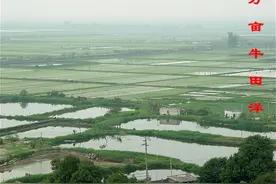牛田洋，记忆永在图片