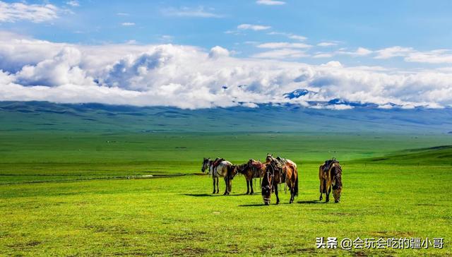 北新疆和南新疆（新疆纯玩攻略——南、北疆篇）