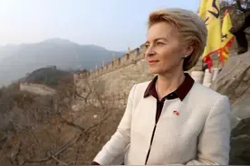 冯德莱恩的工资图片